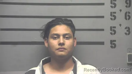 Mugshot of NILSON GOMEZ-MENDOZA