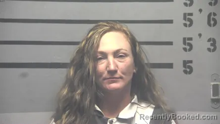 Mugshot of ASHLY E HUDDLESTON