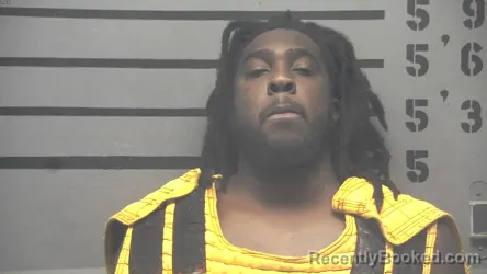 Mugshot of DAVID LAMONT HOCKER