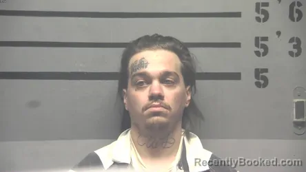 Mugshot of TAYLOR BRENT HENDERSON
