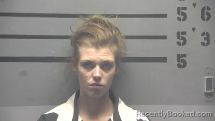 Mugshot of TANYA LEE HAMBY