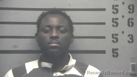 Booking photo from Hopkins County, Kentucky