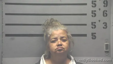 Mugshot of CARLA DEON JENKINS booked in Hopkins County, Kentucky on May 4, 2026