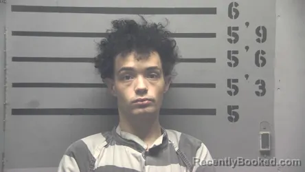 Mugshot of JOHNNY LEE JENKINS