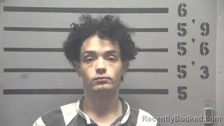 Mugshot of JOHNNY LEE JENKINS