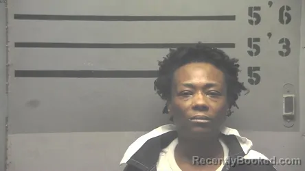 Mugshot of ROSAMAY BIRDETTE JOHNSON booked in Hopkins County, Kentucky on April 30, 2026