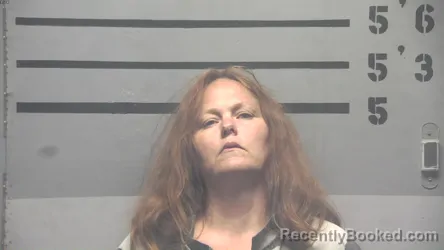 Booking photo from Hopkins County, Kentucky