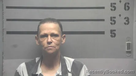 Mugshot of TAMIKA RENAE JONES booked in Hopkins County, Kentucky on May 1, 2026