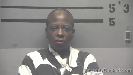 Mugshot of YOLANDA KIMBREW