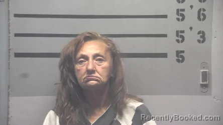 Mugshot of CONNIE ANN LOVE booked in Hopkins County, Kentucky on May 13, 2026