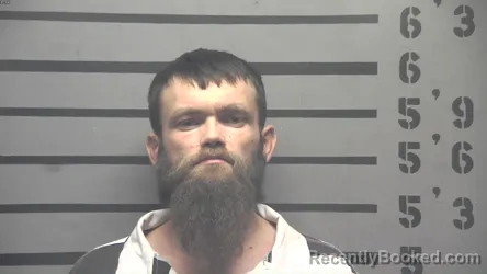 Mugshot of DARYL WAYNE LEWIS