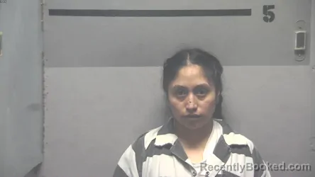 Mugshot of Hilda Lopez-Mendoza booked in Hopkins County, Kentucky on September 13, 2026