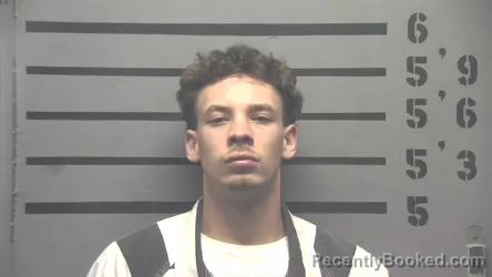 Mugshot of MICAH CLAYDEAN LOVE