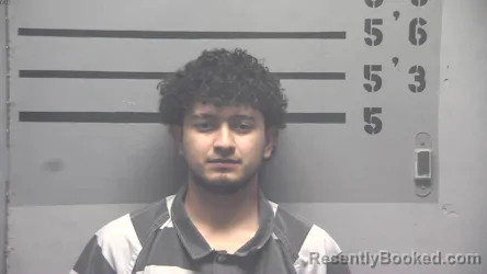 Mugshot of ALDAIR MARTINEZ-ORELLANN
