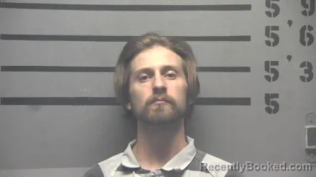 Mugshot of BRANDON KEITH MCGARY