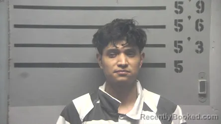 Mugshot of IGNACIO MARTINEZ booked in Hopkins County, Kentucky on May 12, 2026