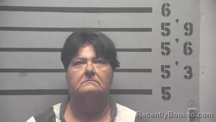 Mugshot of KAREN ANN MCDONALD booked in Hopkins County, Kentucky on June 13, 2026
