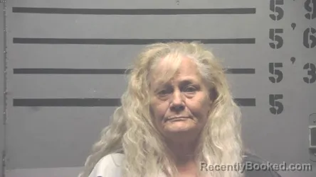 Mugshot of LINDA DARLENE MATHIS booked in Hopkins County, Kentucky on June 22, 2026
