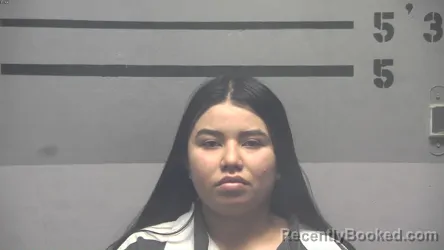 Mugshot of LISSYS IVANIA MENDEZ-GARCIA