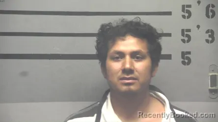 Mugshot of MAURICIO MEJIA-LEMUS