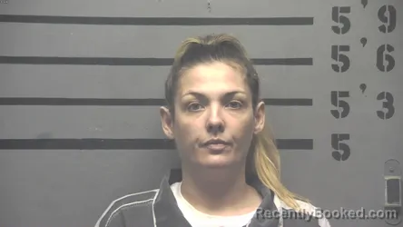 Mugshot of ERIKA NICOLE OWENS booked in Hopkins County, Kentucky on April 24, 2026