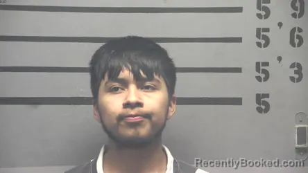 Mugshot of CARLOS PEREZ-MENDEZ