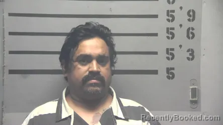 Mugshot of DARWIN JOSUE PEREZ ALVAREZ