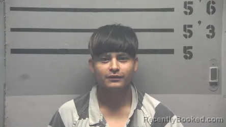 Mugshot of GASPAR PEREZ-CARMELO booked in Hopkins County, Kentucky on May 2, 2026