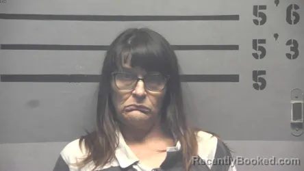 Mugshot of LORI LYNN PARHAM booked in Hopkins County, Kentucky on July 15, 2026