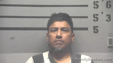 Mugshot of MARVIN ROLANDO . PEREZ CALIXTO booked in Hopkins County, Kentucky on April 22, 2026