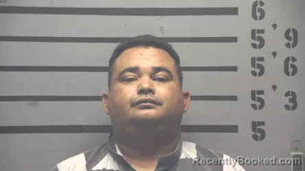 Mugshot of NESTOR DAVID . PEREZ AGRINZONES booked in Hopkins County, Kentucky on July 8, 2026