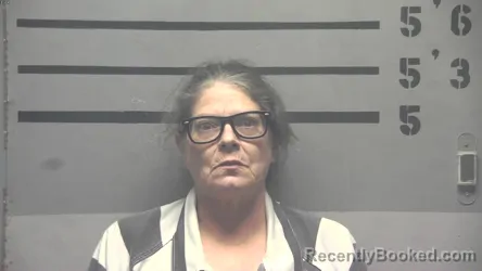 Mugshot of SHELIA MARIE POSEY booked in Hopkins County, Kentucky on April 6, 2026