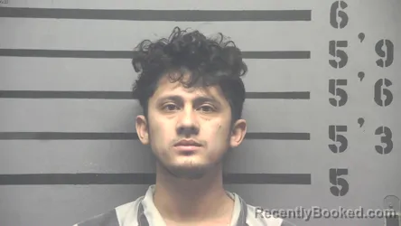 Mugshot of YELSON DANIEL . PACHECO MURILLO