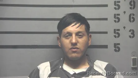 Mugshot of LUIS ALBERTO  . QUICANO HINOSTROZA booked in Hopkins County, Kentucky on July 8, 2026