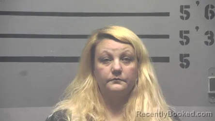 Mugshot of AMANDA SUE ROBINSON