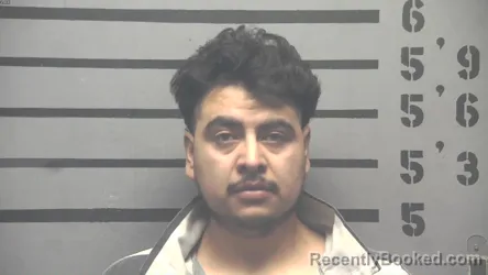 Booking photo from Hopkins County, Kentucky