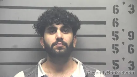 Mugshot of RAHUL RAHUL