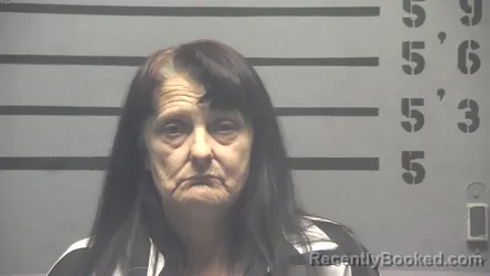 Mugshot of TAMMY MARIE REED