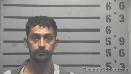 Mugshot of Alexis Santamaria booked in Hopkins County, Kentucky on August 25, 2026