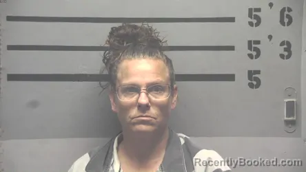 Mugshot of Amber Dawn Sheets booked in Hopkins County, Kentucky on August 27, 2026
