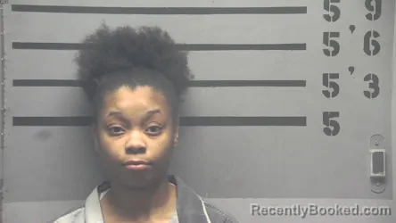 Mugshot of HAWA ATANDA SWALIS booked in Hopkins County, Kentucky on April 20, 2026