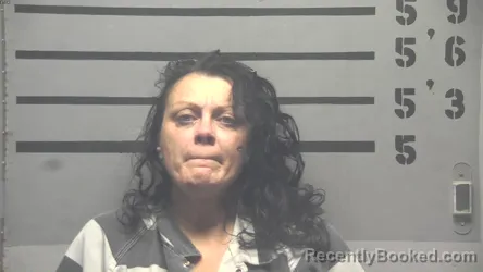 Mugshot of Joy Lynn Stallins