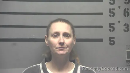 Mugshot of LISA DAWN SCHAFER