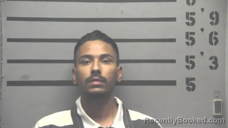 Mugshot of MEHAKPREET SINGH booked in Hopkins County, Kentucky on August 5, 2026