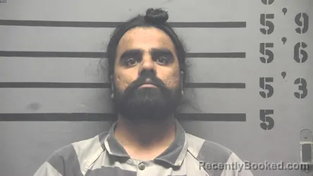 Mugshot of PALWINDER SINGH