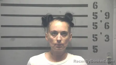 Mugshot of PENNY FAYE SHELTON booked in Hopkins County, Kentucky on April 15, 2026