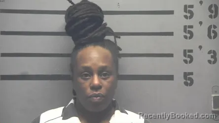 Mugshot of SHEILA DIANE SPIVEY