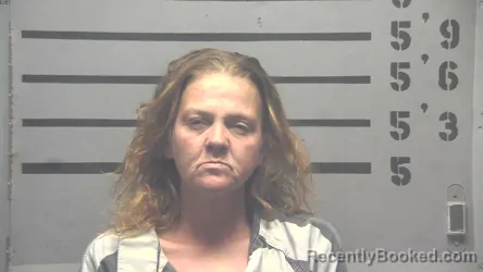 Mugshot of BRANDY LEE TICHENOR booked in Hopkins County, Kentucky on May 4, 2026