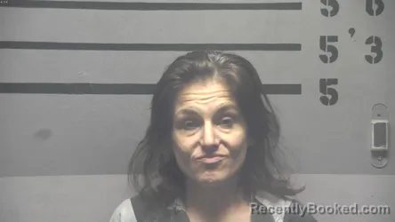 Mugshot of ERIN MORIAH TRAVIS