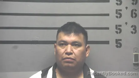 Mugshot of NICOLAS TOMAS-NICOLAS